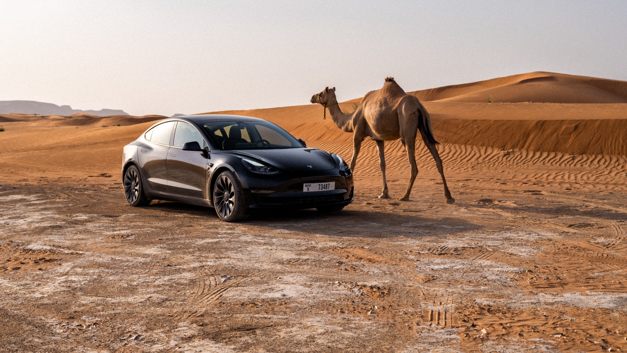 Tesla is now testing it vehicles in the desert!